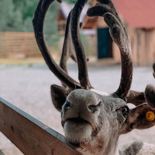 Карельские выходные: Рускеала и Валаам