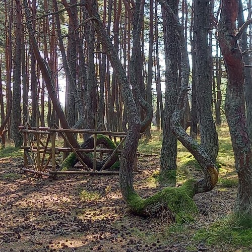 Тур-знакомство с Калининградом и окрестностями: Светлогорск, Зеленоградск, Янтарный и Балтийск