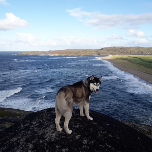 Вкус Севера: гастрономический тур по Кольскому полуострову для вашей компании