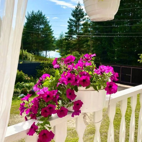 Перезагрузка в Приладожье с йогой, баней, сибирским чаном и сапами (всё включено)