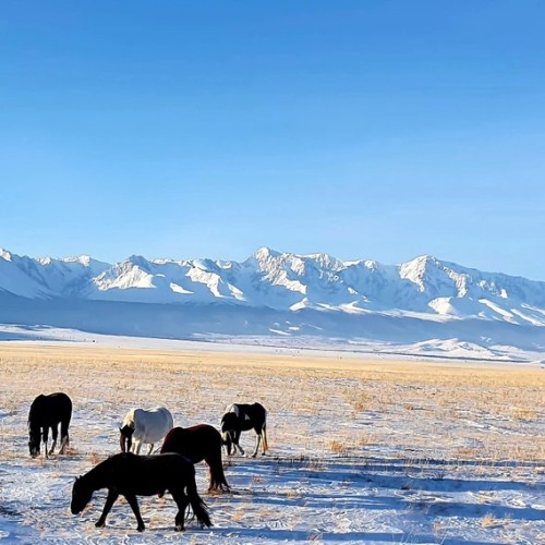 Ваше идеальное путешествие по Горному Алтаю: тур-конструктор