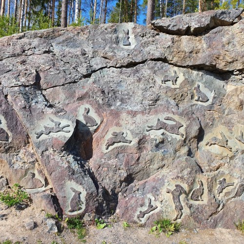 Карельские выходные в своей компании: «Марциальные Воды», «Кивач» и дополнительные активности