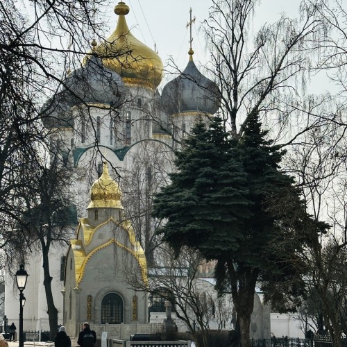 Царственные насельницы Новодевичьего монастыря