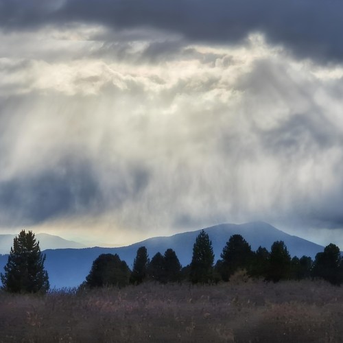 Верхом по Алтаю: конный тур для новичков с палатками (всё включено)