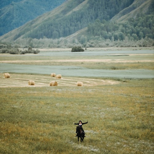 Бороздим просторы Алтая верхом: активный тур для опытных всадников с фотосъёмкой