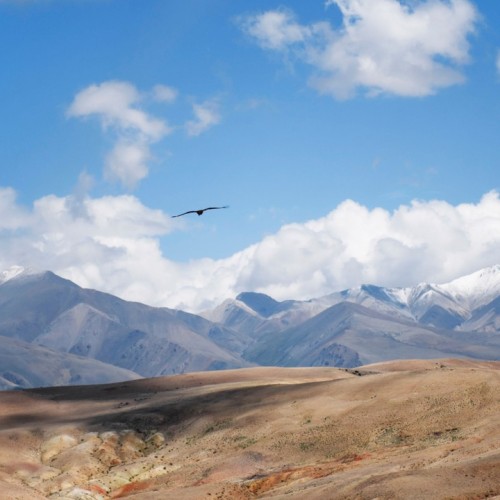 Увидеть Алтай во всей красе: Чуйский тракт, Гейзерное озеро, Марсианские пейзажи, горы и перевалы