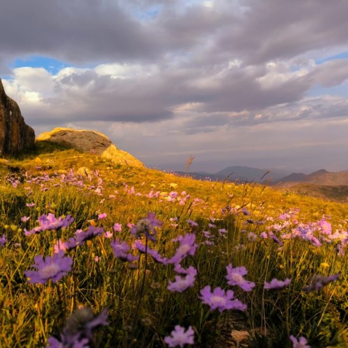Неделя в стране гор: необычные места Дагестана и восхождение на Шалбуздаг