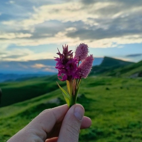 Кавказ 3 в 1: Эльбрус, Архыз, Домбай. Лёгкие треккинги, горы, нарзаны и знаковые места