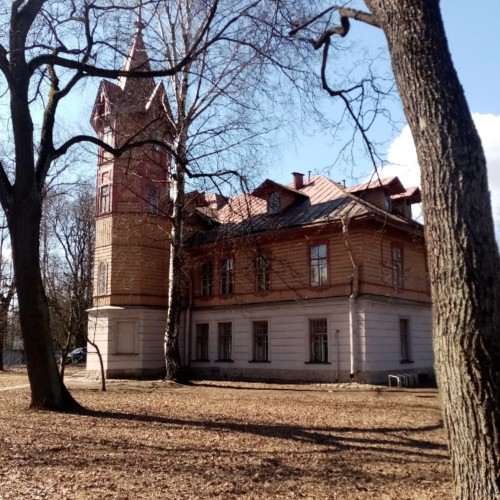 Каменный — остров сокровищ: прогулка по элитному дачному предместью