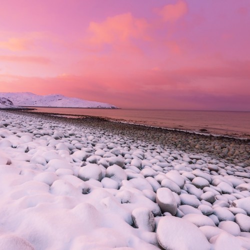 Новогодний отпуск в Териберке с праздничным ужином, арктическими блюдами и морскими деликатесами