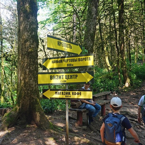 Лёгкий треккинг в субтропиках с проживанием в гостинице в Адлере