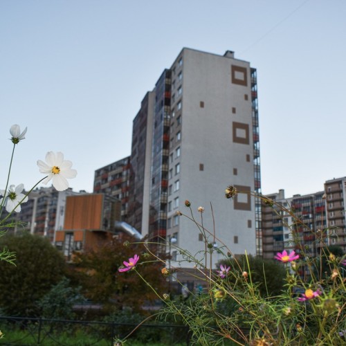 Кудрово: город цветных гигантов через дорогу от Петербурга