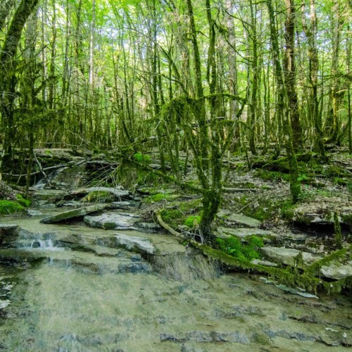 Каньон Псахо: природное чудо и одно из лучших мест для фотосессий