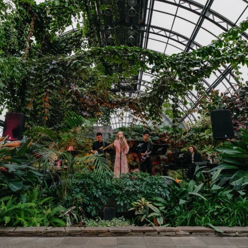 Концерт в оранжерее Таврического сада