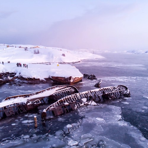 Фотопоездка в Териберку — тундра, море и киты