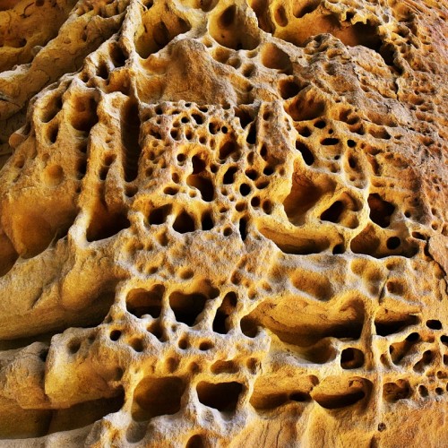 Своей компанией по Домбаю: Тебердинский заповедник, горы, пещеры, озёра