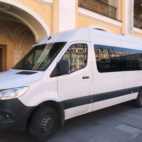 Парк и фонтаны Петергофа (всё включено)