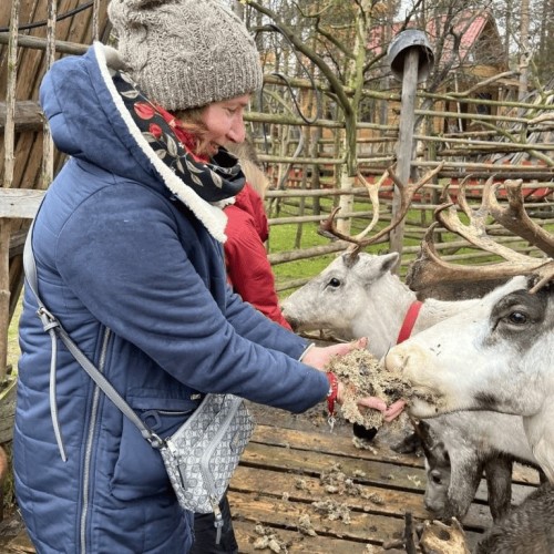Териберка, Мурманск и деревня саамов: приключения на Кольском с поездкой за сиянием и поиском китов