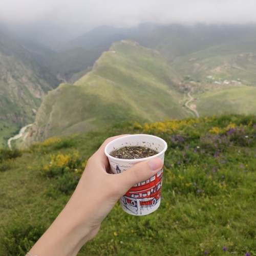 Горная Дигория: Задалеск, Камунта, Галиат