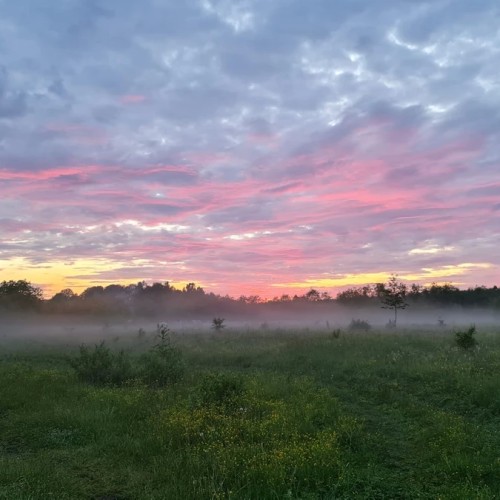Река с картин: лёгкий сплав на байдарках по Тверце (всё включено)