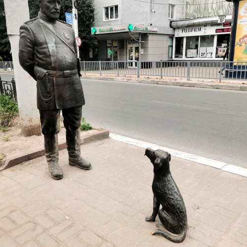 Dog-friendly Калуга: cобачьи истории