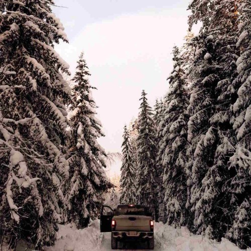 Рыбалка на Ладожском озере: перезагрузка вдали от города с комфортом (всё включено)