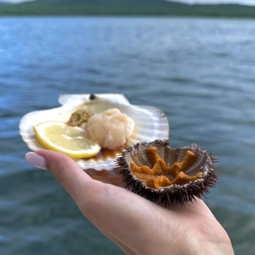 Морское путешествие по островам Японского моря