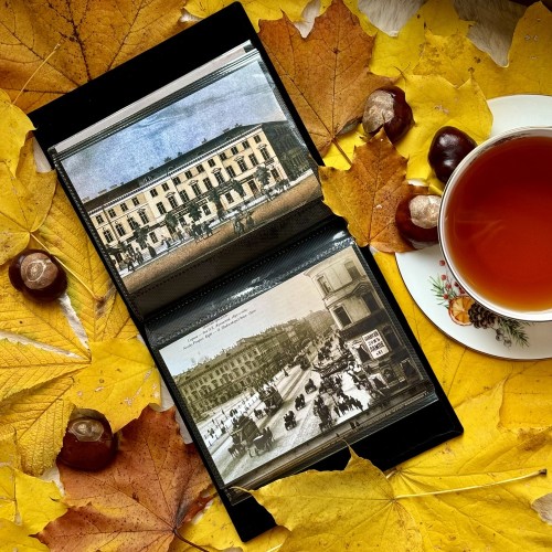 Пушкинский Петербург: прогулка по аристократичному центру