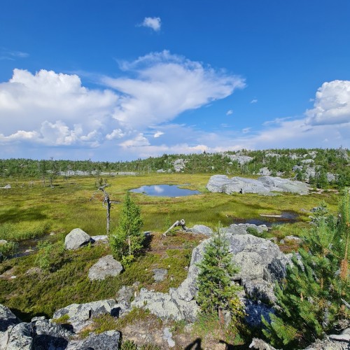 По Карелии на джипах в своей компании: «Марциальные воды», Гирвас и мистическая гора Воттоваара