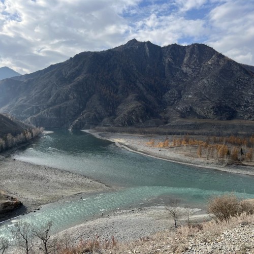 Когда Алтай оживает: цветение маральника, озёра и перевалы Чуйского тракта (мини-группа)