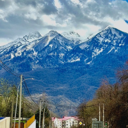 Красная Поляна, «Роза Хутор» и Парк альпак