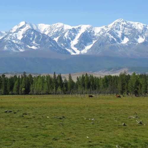 Наедине с Алтаем: высокогорные озёра, живописные долины и неземной ландшафт (всё включено)