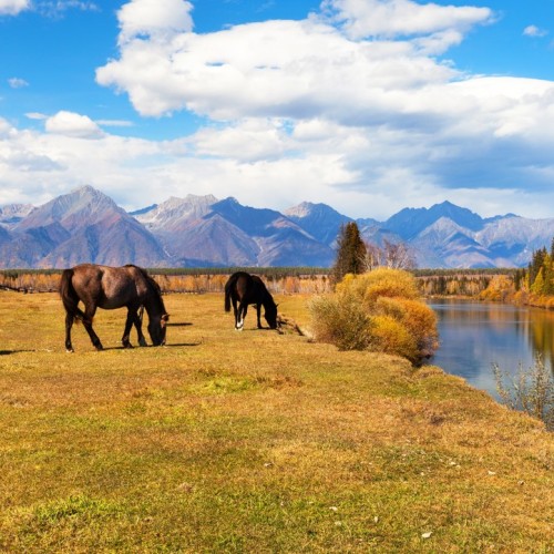 Из Иркутска в Тункинскую долину и на Байкал в мини-группе: термальные источники и природа