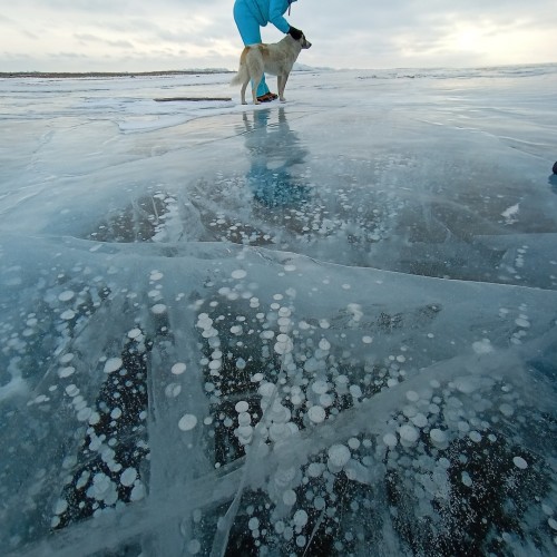 Тажераны, Малое Море и Ольхон: магия зимнего Байкала в индивидуальной поездке