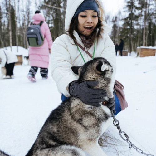 На Север за впечатлениями: северное сияние, Териберка, саамская деревня, хаски и олени