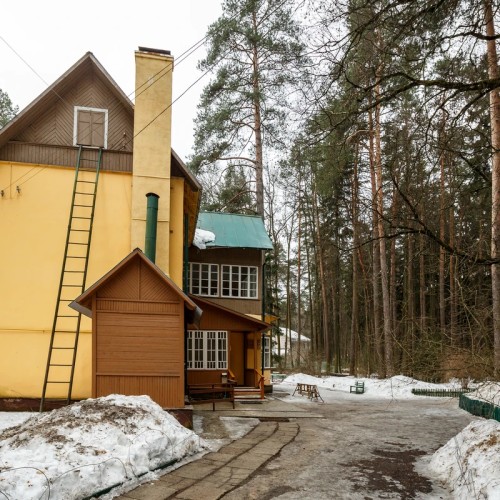 Переделкино с местным жителем и членом Союза писателей