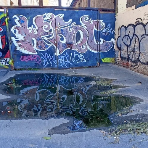 По Васильевскому с островитянином!