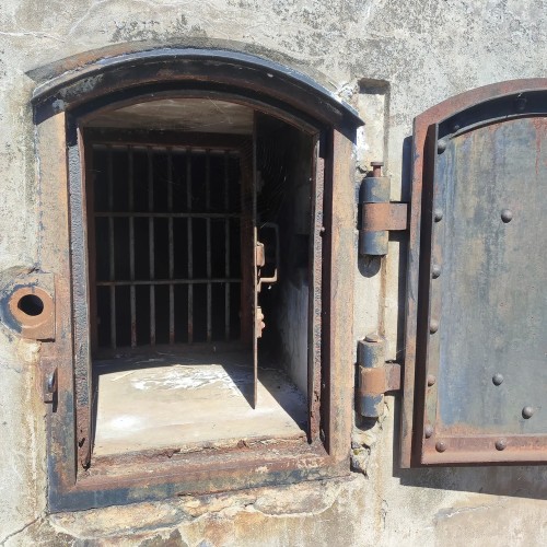 Экскурсия 3 в 1: Кронштадт + батарея Демидов + заказник Западный Котлин