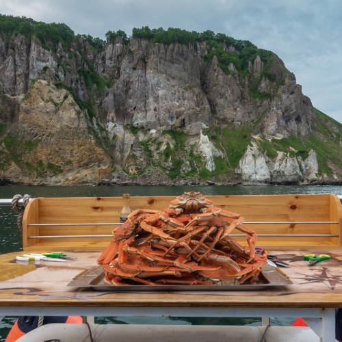 Калейдоскоп впечатлений на Камчатке: треккинги, вулканы и горячие источники