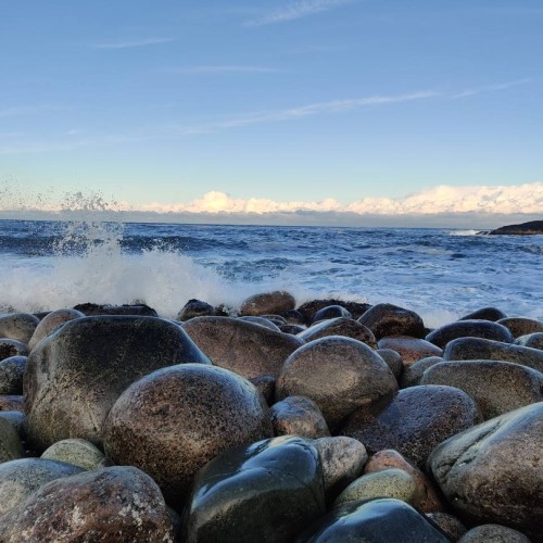 Экспресс-выезд в Териберку: гастрономия, северное сияние, главные места, хаски и олени