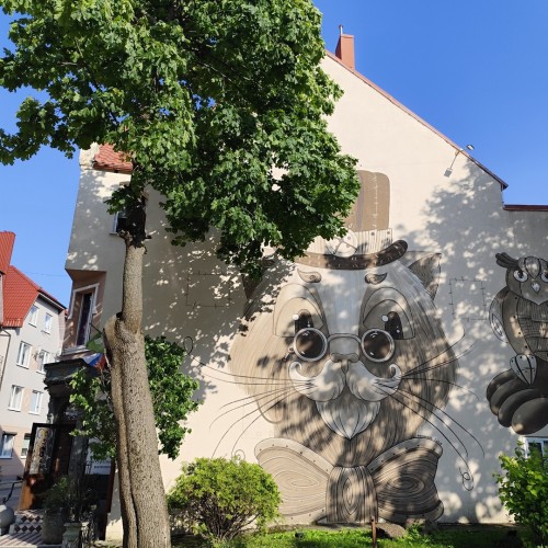 Индивидуальное знакомство с Калининградом и областью: экскурсии, прогулки и концерт