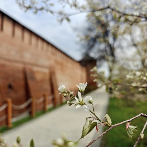 Пешком по центру Коломны