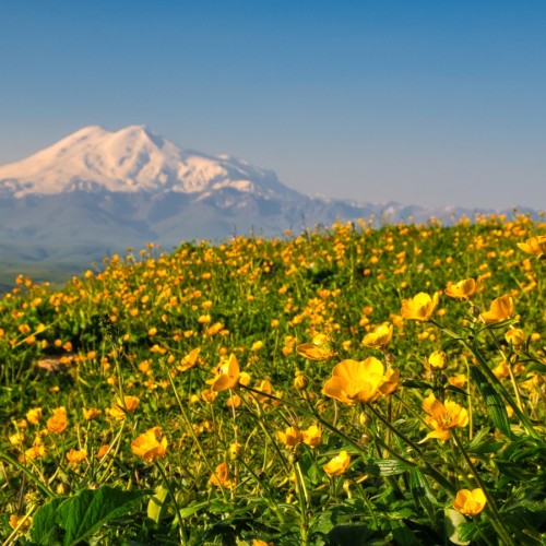 Индивидуально по Кавказу с посещением мест на выбор