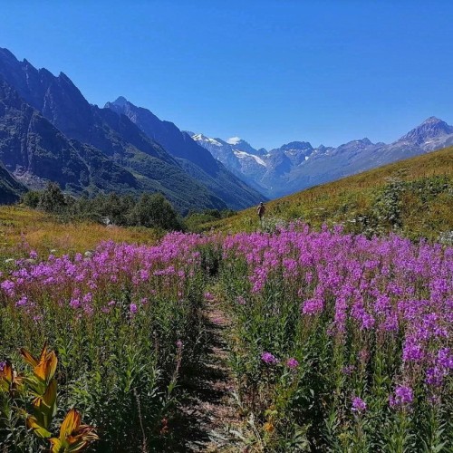 А давай в Домбай? Треккинг без рюкзаков