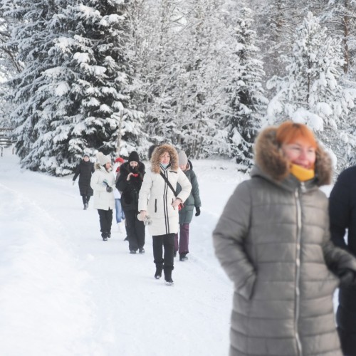 В экопарк «Долина водопадов» и музей «Кирьяж» — из Петербурга
