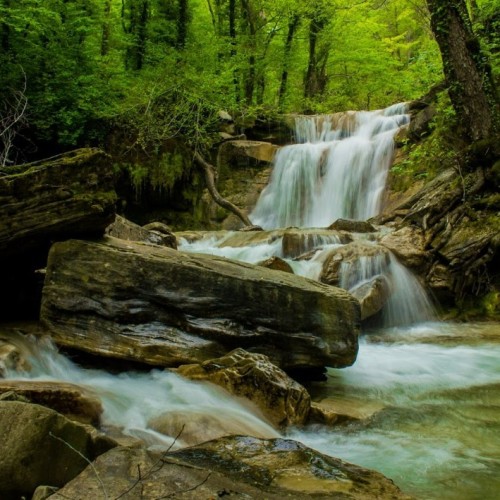 Запах разнотравья и никого вокруг: поход с рюкзаками по долине реки Пшада (всё включено)