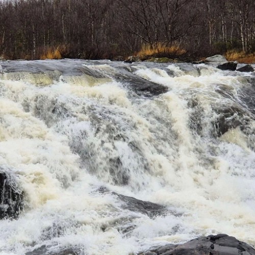 Индивидуально по Заполярью: Териберка, Мурманск и Ура-Губа