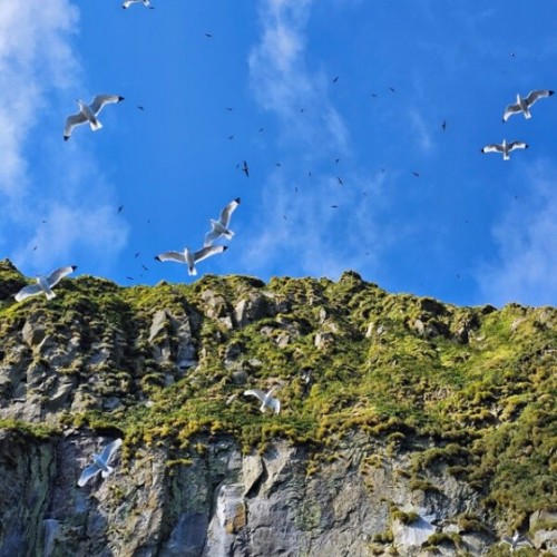 Путешествие на Дальний Восток: Сахалин и Кунашир