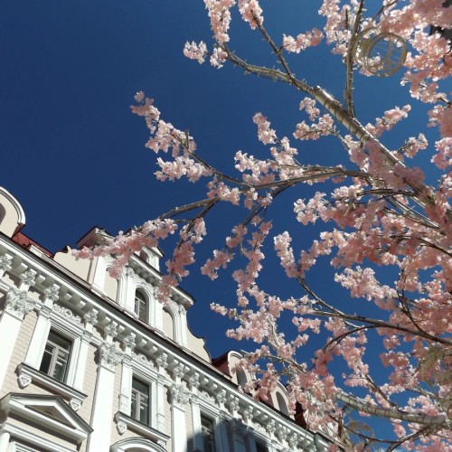 Литературные переулки Арбата