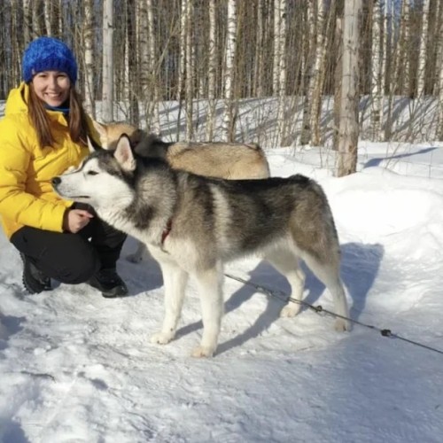 Встречаем Новый год в Карелии: экскурсии, праздничная программа и отдых в загородном отеле